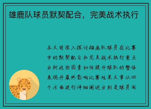 雄鹿队球员默契配合，完美战术执行